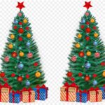 Thông Noel, cây thông Giáng Sinh vector crd